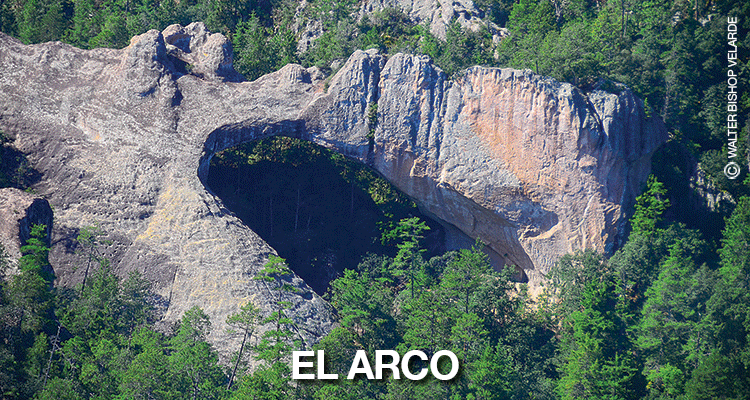 arco